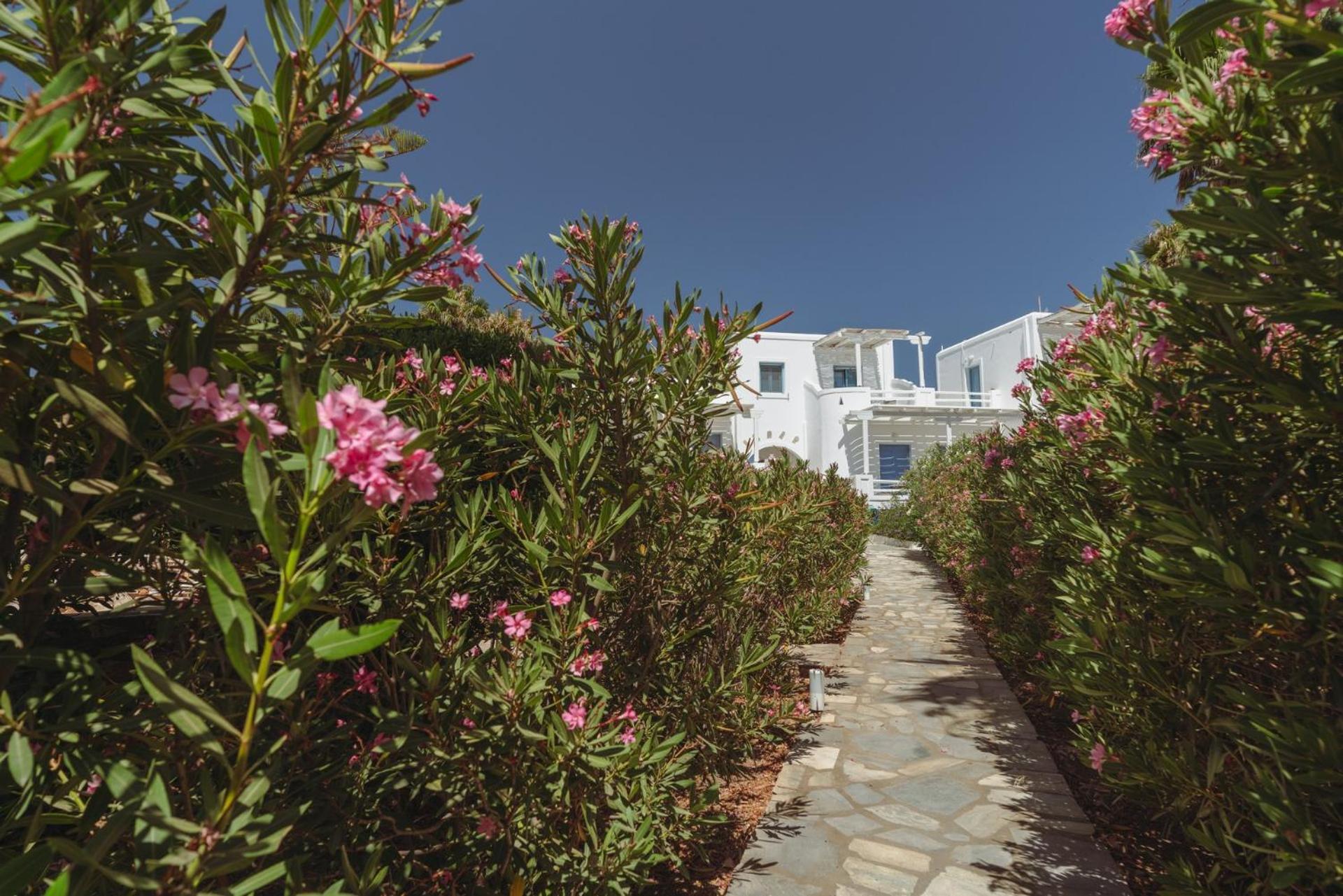 Palm Heaven Boutique Apartments Antiparos Exterior photo